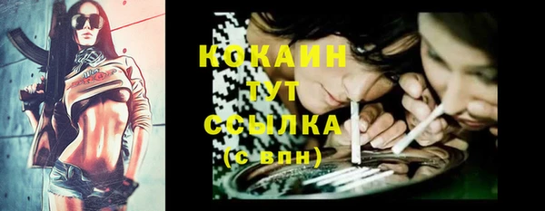 ECSTASY Дмитровск